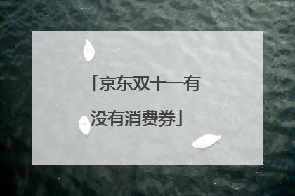 京东双十一有没有消费券