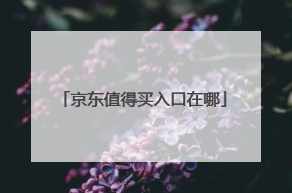 京东值得买入口在哪