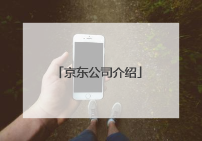 京东公司介绍
