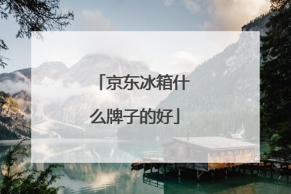 京东冰箱什么牌子的好