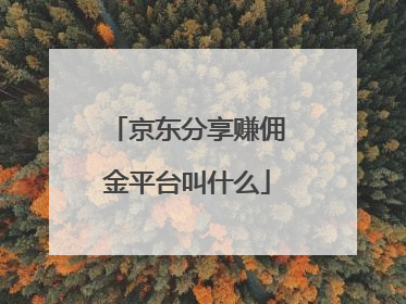 京东分享赚佣金平台叫什么