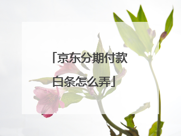 京东分期付款白条怎么弄