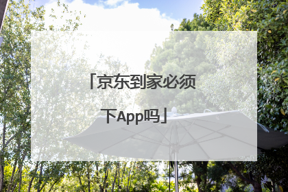 京东到家必须下App吗