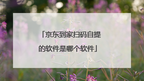 京东到家扫码自提的软件是哪个软件