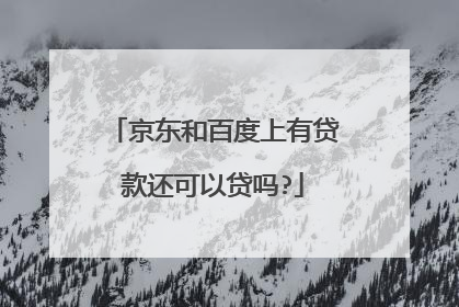 京东和百度上有贷款还可以贷吗?