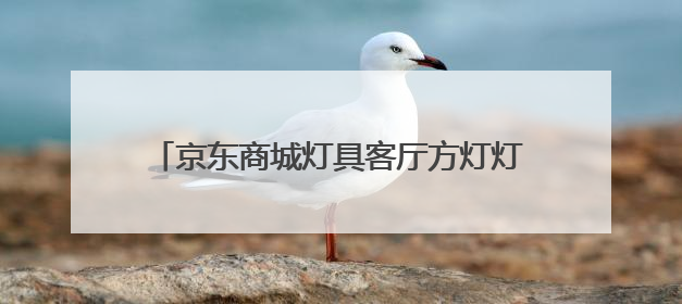 京东商城灯具客厅方灯灯管LED灯管有多大瓦