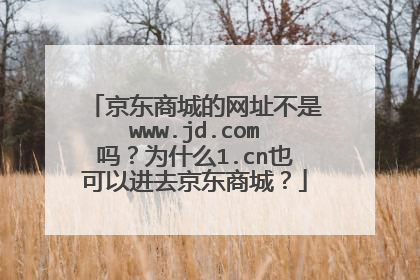 京东商城的网址不是www.jd.com吗?为什么1.cn也可以进去京东商城?