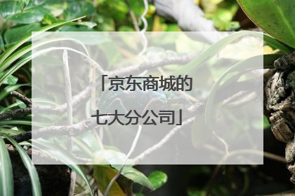 京东商城的七大分公司