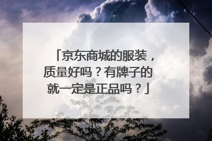 京东商城的服装,质量好吗?有牌子的就一定是正品吗?