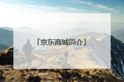 京东商城简介