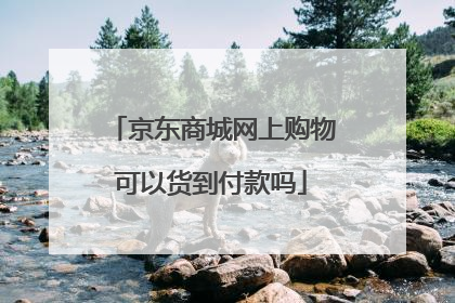 京东商城网上购物可以货到付款吗