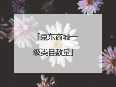 京东商城一级类目数量