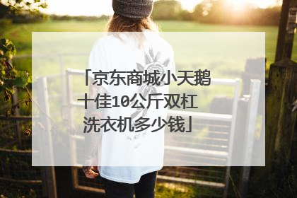 京东商城小天鹅十佳10公斤双杠洗衣机多少钱