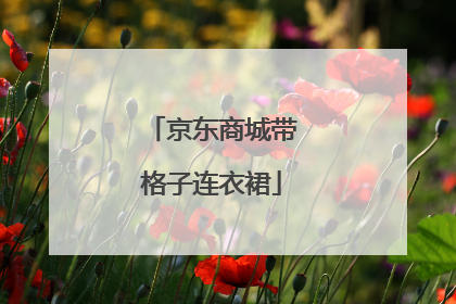 京东商城带格子连衣裙