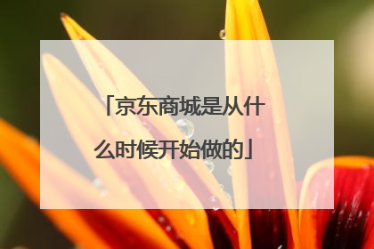 京东商城是从什么时候开始做的