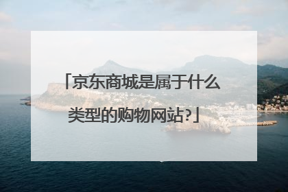 京东商城是属于什么类型的购物网站?