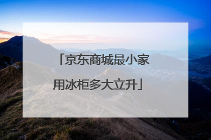 京东商城最小家用冰柜多大立升