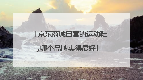 京东商城自营的运动鞋,哪个品牌卖得最好