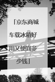 京东商城车载冰箱好用又便宜多少钱