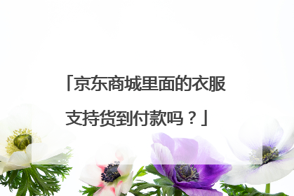 京东商城里面的衣服支持货到付款吗?