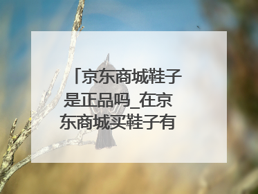 京东商城鞋子是正品吗_在京东商城买鞋子有什么省钱方法吗?麻烦告诉我