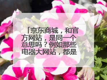 京东商城，和官方网站，是同一个意思吗？例如那些电器大网站，都是叫官方网站吗？我不懂