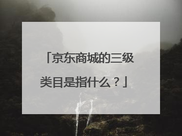 京东商城的三级类目是指什么?