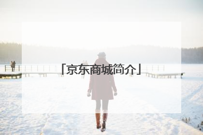 京东商城简介