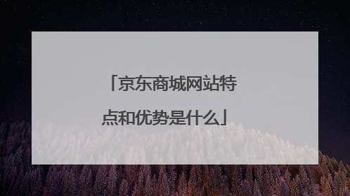 京东商城网站特点和优势是什么