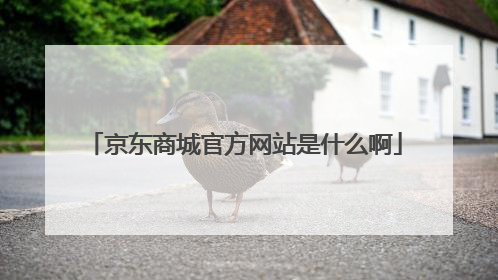 京东商城官方网站是什么啊
