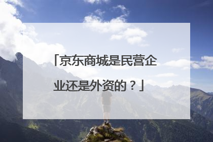 京东商城是民营企业还是外资的?