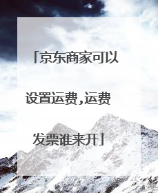 京东商家可以设置运费,运费发票谁来开