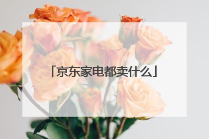 京东家电都卖什么
