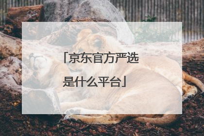 京东官方严选是什么平台