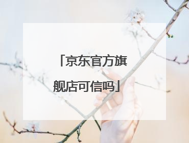 京东官方旗舰店可信吗