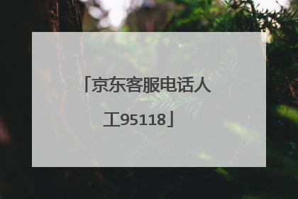 京东客服电话人工95118