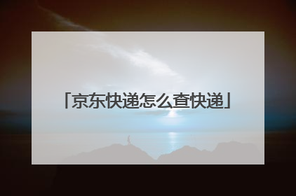 京东快递怎么查快递
