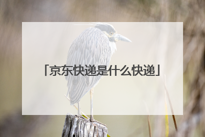 京东快递是什么快递