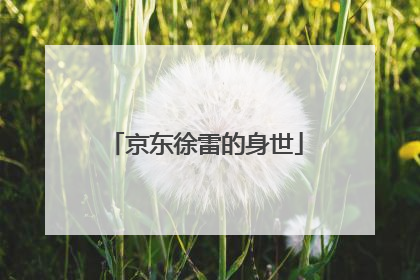 京东徐雷的身世