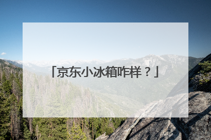 京东小冰箱咋样?