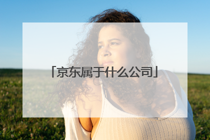 京东属于什么公司