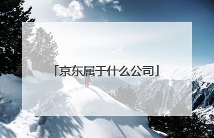 京东属于什么公司