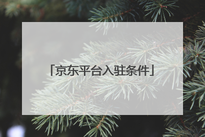 京东平台入驻条件