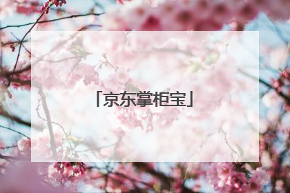 京东掌柜宝