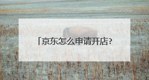 京东怎么申请开店?有哪些费用?流程是什么?需要哪些条件
