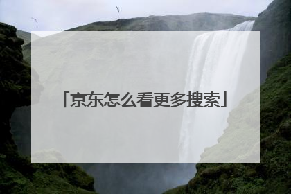 京东怎么看更多搜索