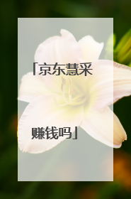 京东慧采赚钱吗