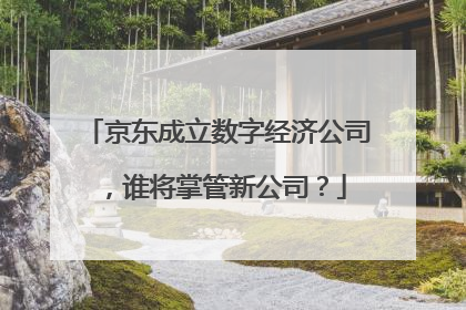 京东成立数字经济公司，谁将掌管新公司？