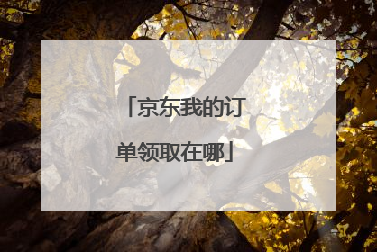 京东我的订单领取在哪