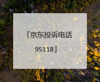京东投诉电话95118